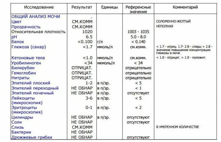 Слизь в умеренном количестве