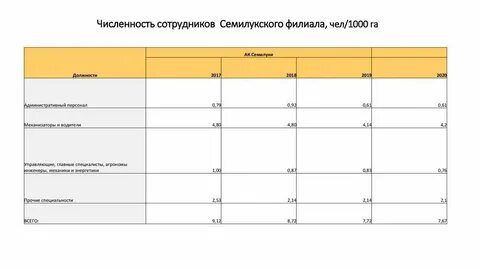 Весь штат сотрудников