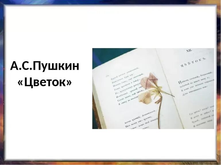 Пушкин цветок стихотворение. Цветок засохший безуханный забытый в книге. Стихотворения а. с. пушкинацвепок. Цветов стихотворение а с пушкин