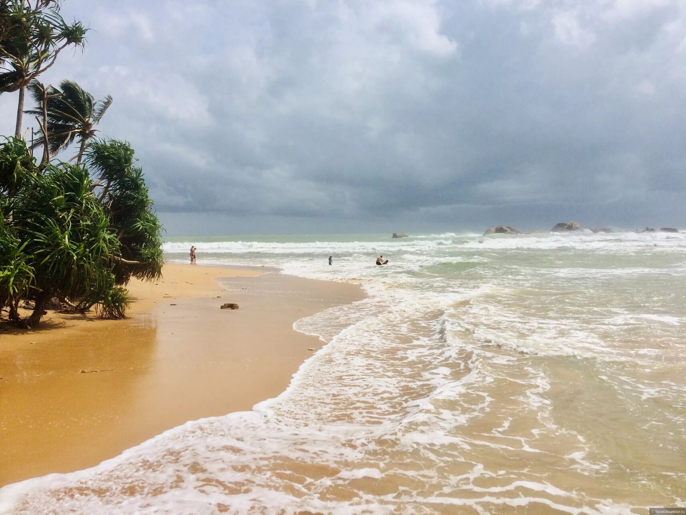 Экскурсии шри ланки. Шри ланка туристы. Шри ланка туристы. Шри ланка континент. Тальпе шри ланка пляж.