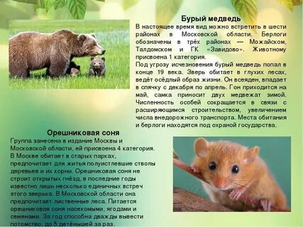 Выясните есть ли в вашей местности виды