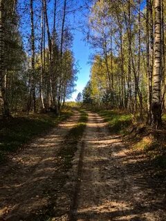 Погода осинки меленковский
