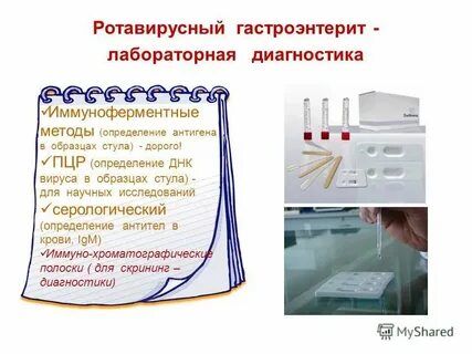 Ответы на тесты ротавирусная инфекция у детей