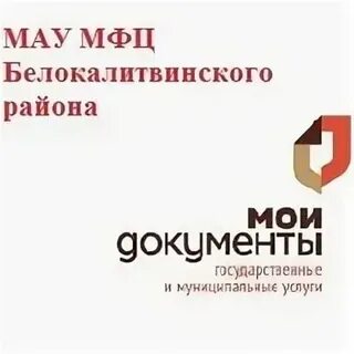 Мфц камышин приборы