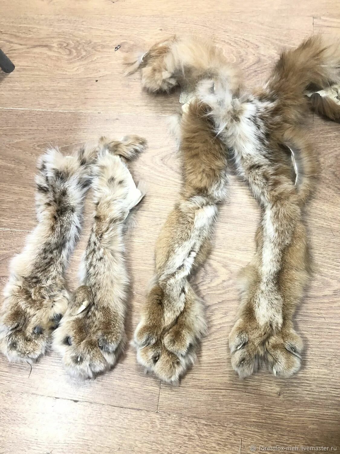 Фурсьют фурчатки. Лисьи фурчатки. Лапка для меха. Лапа кошки с когтями. Фурсьют лапы кошки.