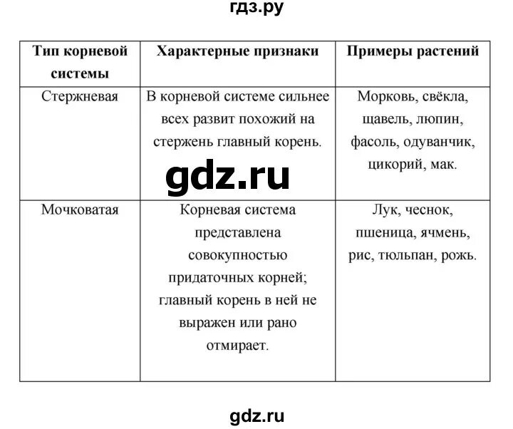 Биология 6 класс параграф 25 таблица