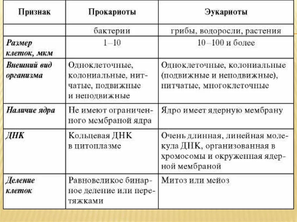 Прокариоты строение функции. Сравнение прокариот и эукариот таблица. Признаки прокариоты и эукариоты таблица. Отличительные признаки прокариот и эукариот таблица. Прокариотическая и эукариотическая клетка характеристика.