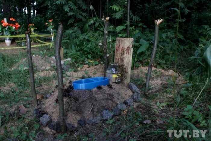 Можно хоронить на своем участке. Могила собаки на дачном участке. Захоронение собаки на своем участке. Похоронили собак в огороде. Похоронили собачку на даче.