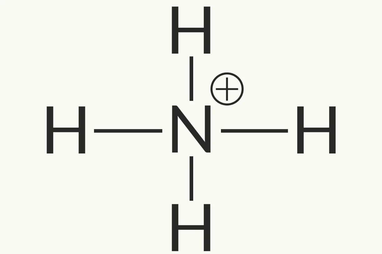 Nh4 строение. Nh4+ структурная формула. структурная формула иона аммония. структура иона аммония. строение иона аммония формула.
