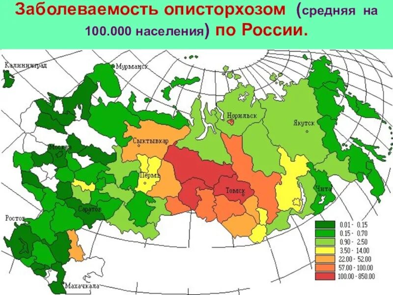 Описторхоз ареал распространения. Ареал распространения описторхоза в России. Распространенность описторхоза в России. Распространение описторхоза в мире. Неприятный распространение