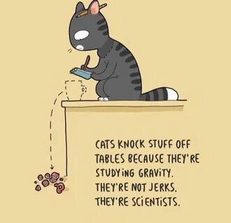 Whose cats are they are