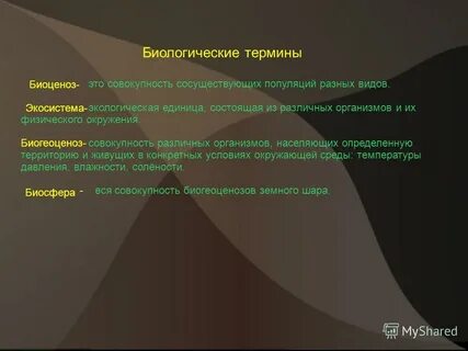 Определения и понятия биология