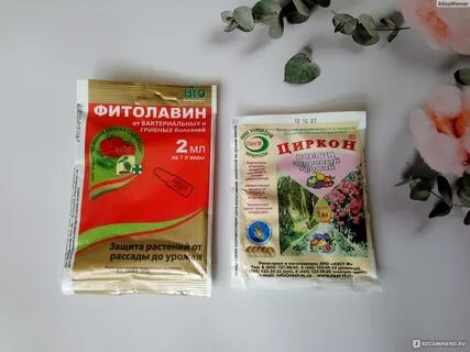 Фитолавин инструкция по применению для растений
