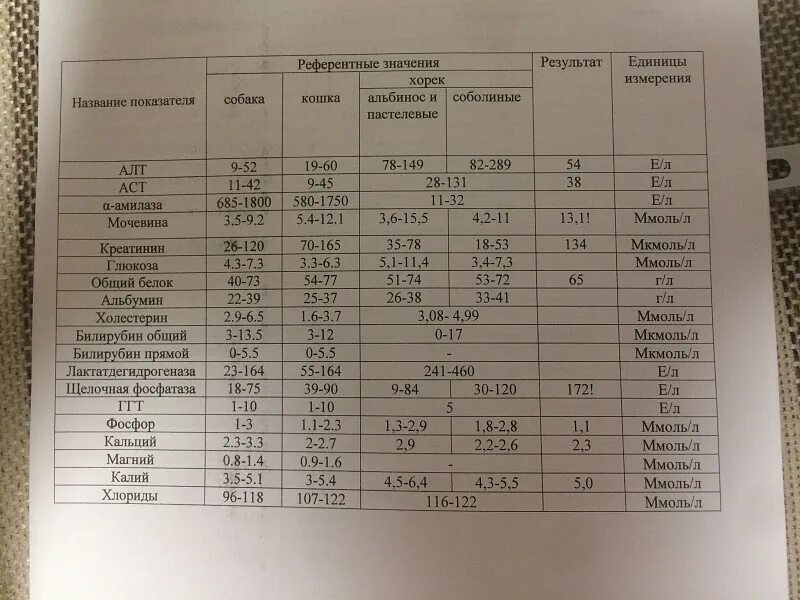 Креатинин 200. Единицы измерения щелочной фосфатазы. Референтные значения креатинина. Норма щелочной фосфатазы у собак. Единицы измерения щелочной фосфатазы в крови.