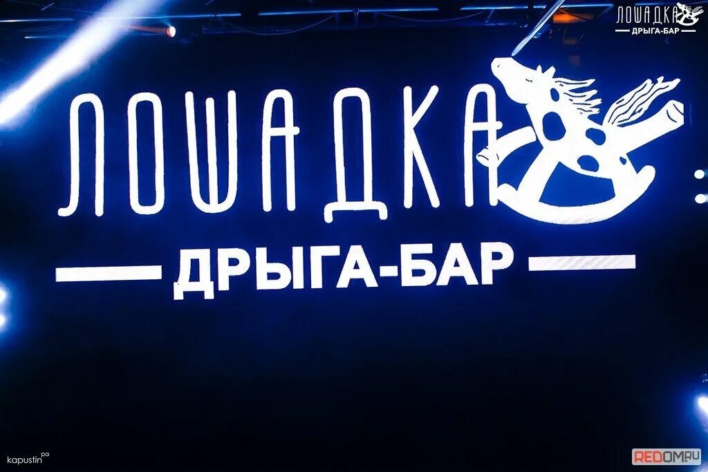 Лошадка дрыга