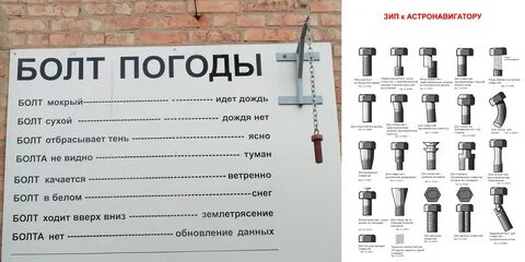 Программа болт на сегодня томск