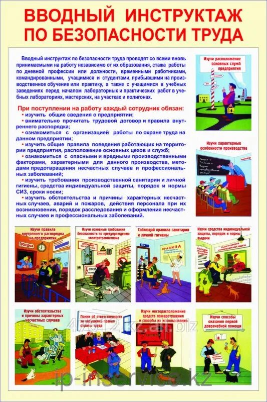 Вводный инструктаж в учреждении. Вводный инструктаж плакат. инструктаж техники безопаснс. вводный инструктаж по охране труда. памятка вводный инструктаж.