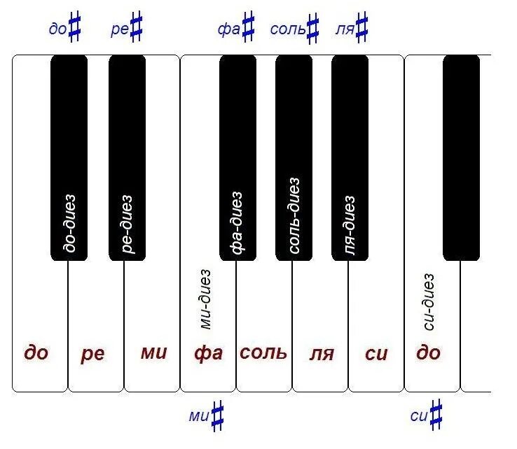 Ре ое. Клавиотуранот бимоль и Диес. Бемоли и диезы на пианино. Бемоль и диез на фортепиано. Си бемоль первой октавы на фортепиано.