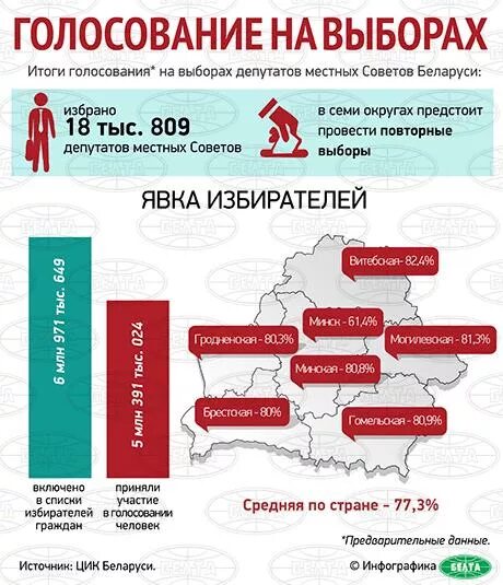 Голосование 2014 года. Итоги голосования 2014. Итоги выборов 2014. Беларусь избиратели. Выборы 24 Беларусь.