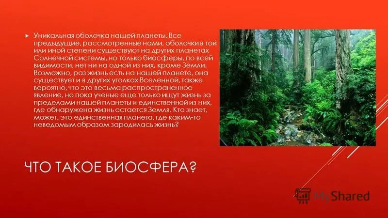 Биосфера живая оболочка земли. Биосфера 11 класс. Чем отличается биосфера от других оболочек. Схема строения живой оболочки земли. Схема биосферы 5 класс.