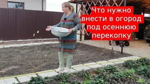 Что внести при перекопке осенью в теплице