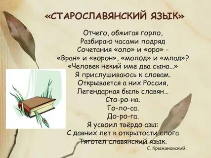 Старославянизмы язык