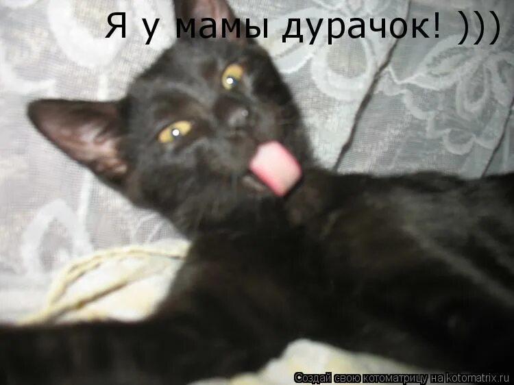 Смешные прически. Я дурачок. Я дурочка. Я у мамы дурочка. Женя дурак.