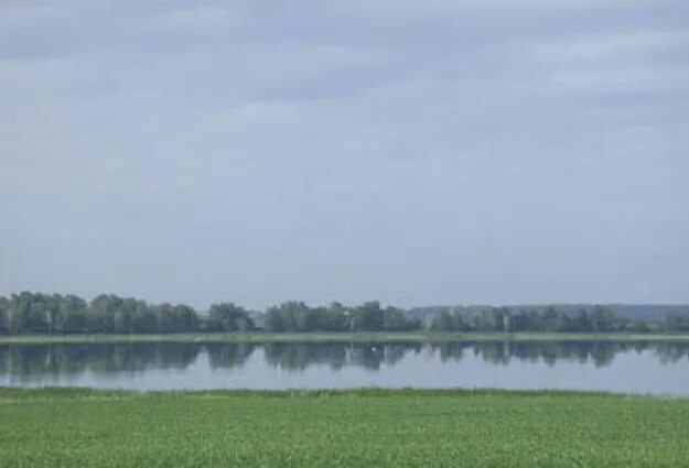 Соленое озеро село Окунево. Окунево Тюменская область озеро соленое.