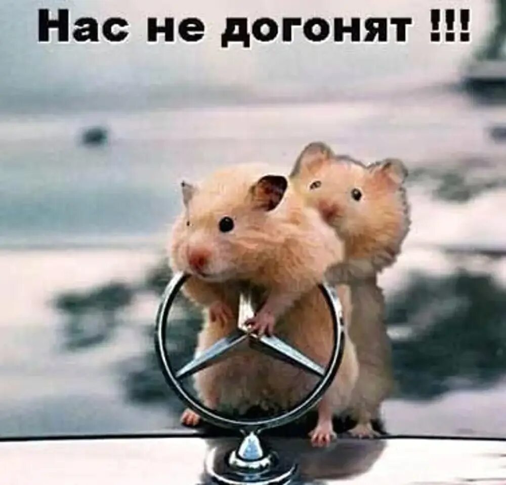 U. Только скажи нас не догонят. Вас не догонят 2001. Пайпер перабо 2001. Наклейка нас не догонят.