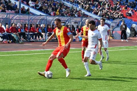 Сокол алания прогноз