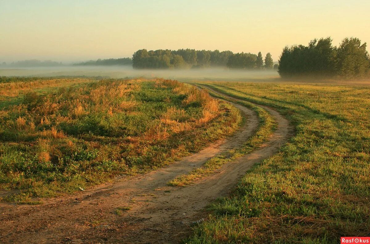 Сельская дорога. Проселочная дорога. Проселочная дорога уходящая в даль. Полевая дорога.