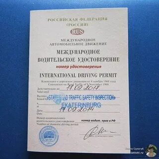 Где получить международные