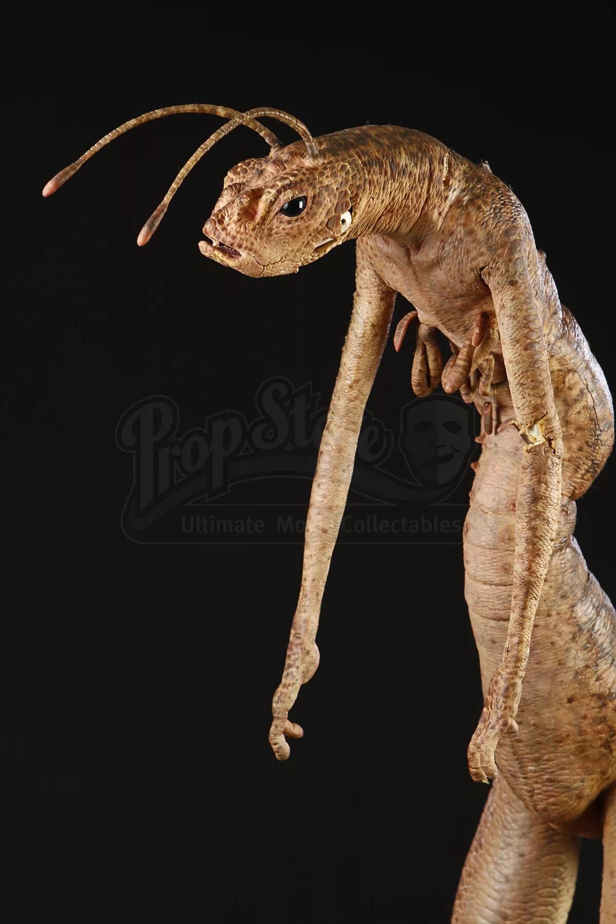 эдгар жук люди в черном. люди в черном насекомые. люди в черном 1 жук эдгар. люди в черном фильм 1997 инопланетяне. люди в черном 3 чудовище.