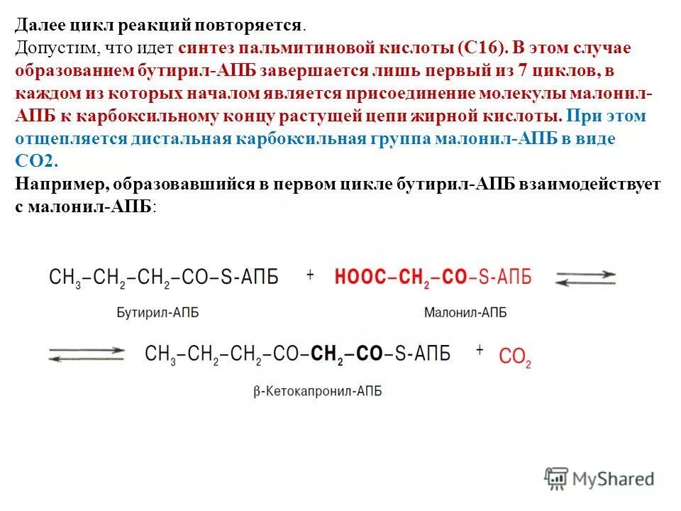 Синтез пальмитиновой кислоты. Синтез пальмитиновой кислоты реакции. Реакции биосинтеза пальмитиновой кислоты. Синтез пальмитиновой кислоты из лейцина. Синтез бутирил-АПБ.