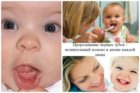 Во сколько месяцев начинают резаться