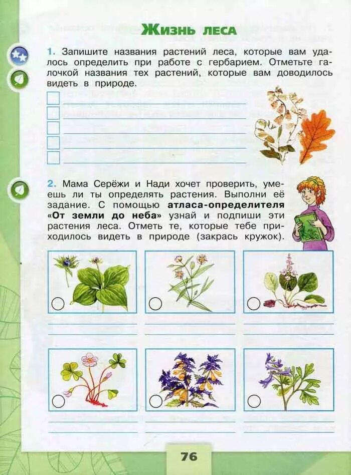4 класс окружающий мир тетрадь страница 56. Тетради окружающий мир 4 класс плешаков школа россии. окружающий мир 4 класс рабочая тетрадь 1 часть стр 69 номер 4 жизнь леса. гдз окружающий мир 4 класс рабочая тетрадь жизнь леса. растения леса 4 класс окружающий мир рабочая тетрадь стр 68.