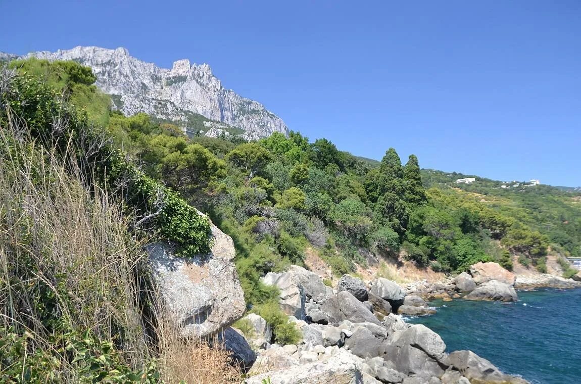 Алупка температура. Алупка крым зимой. Алупка центр города. Алупка температура. Алупка температура.