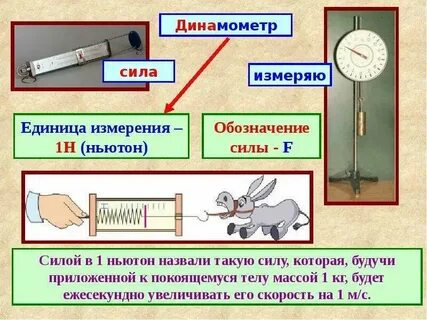 8 кг в ньютонах силу
