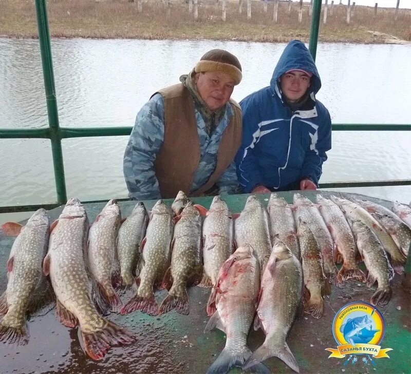 Подводная рыбалка в астрахани. Подводная охота на раскатах в астрахани. Подводная рыбалка в астрахани. Улов рыбы. Форум астраханской рыбалки.