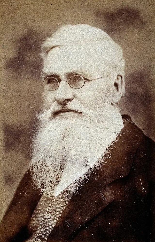 Alfred russel wallace. Биография уоллес. Биография уоллес. Биография уоллес. Биография уоллес.