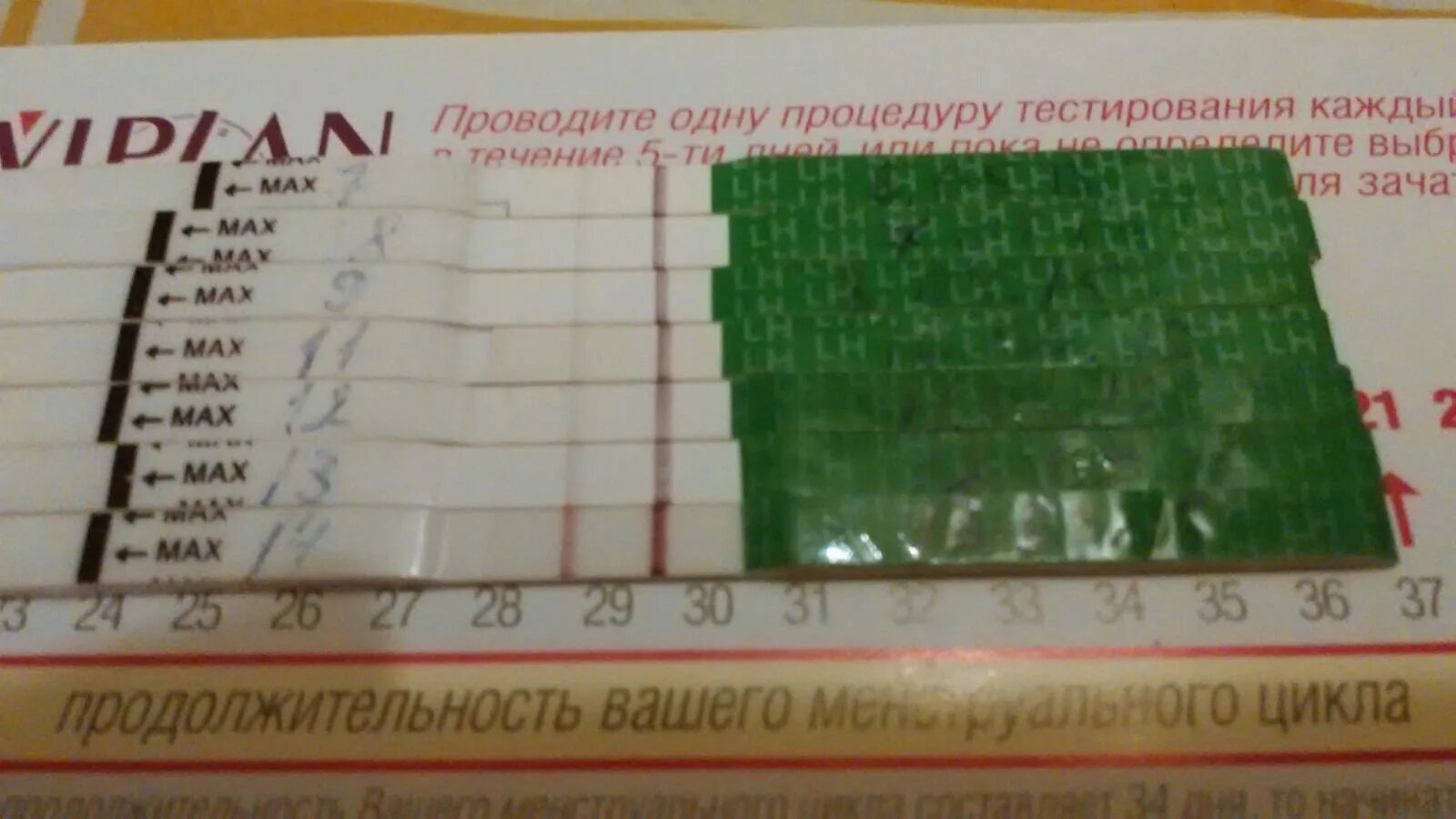 Как понять есть овуляция или нет