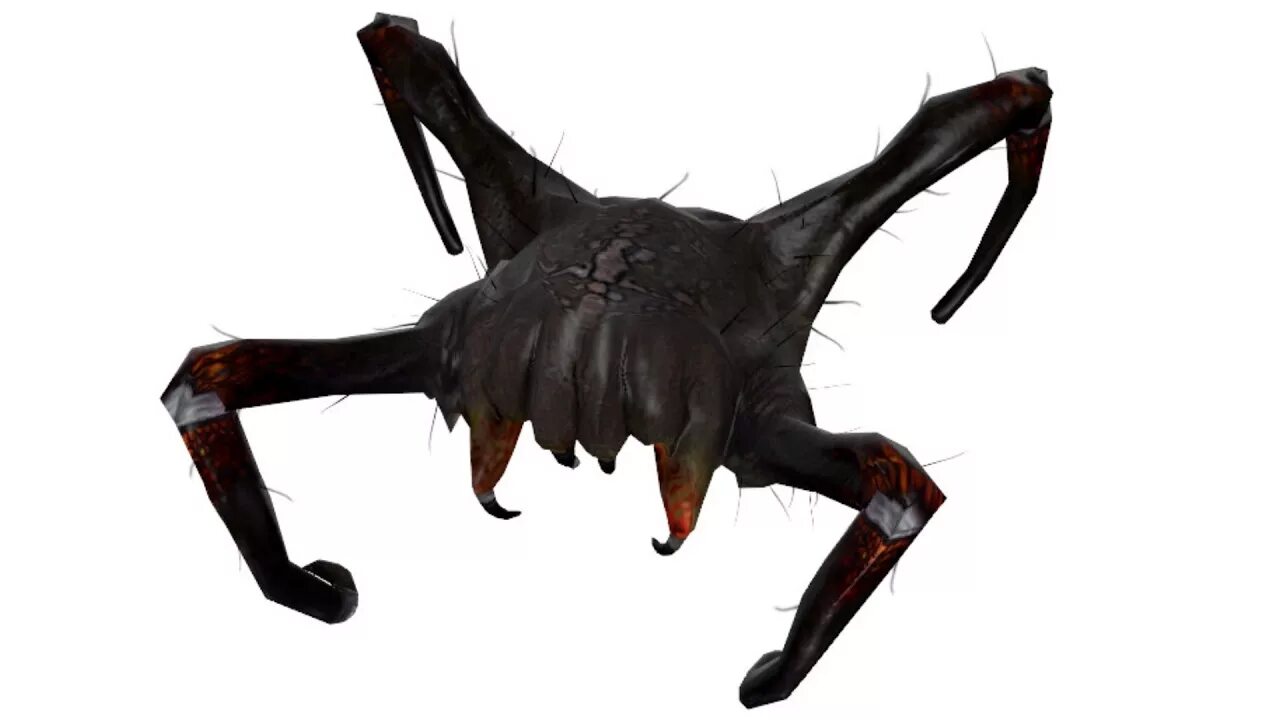 Half life headcrab. Ядовитый Хедкраб half-Life 2. Черный Хедкраб халф лайф 2.