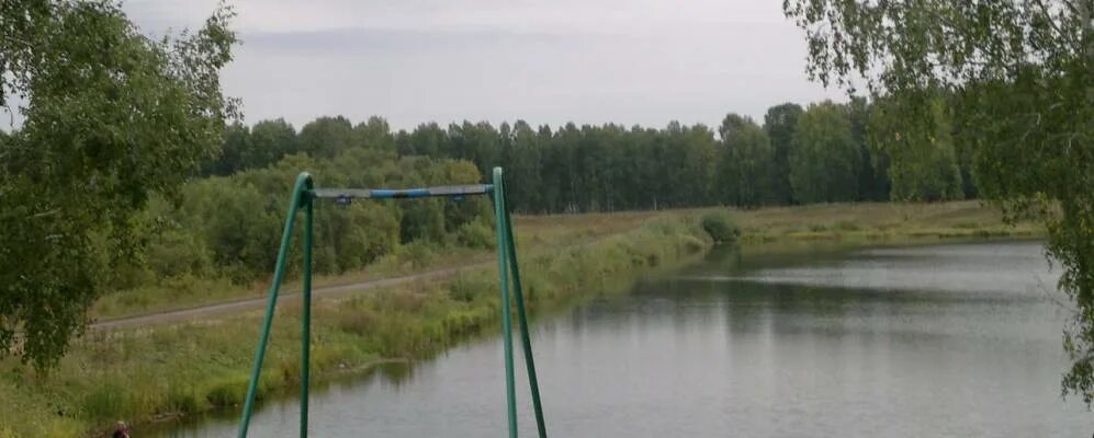Погода борзуновка