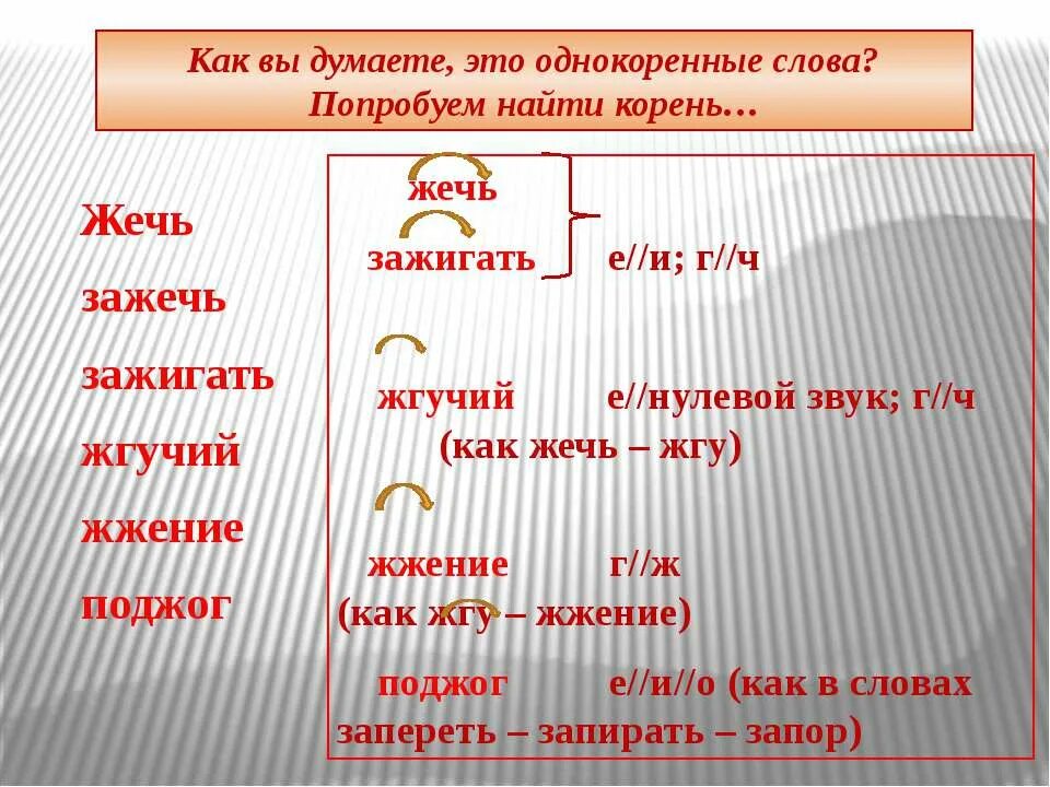корень слова. корень слова однокоренные слова. корень слова корень. однокоренные слова. корень слова.