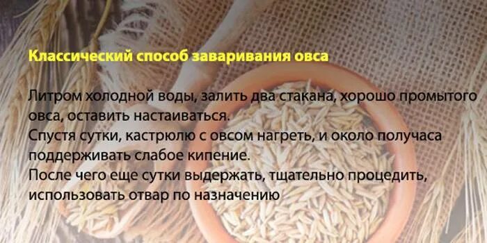 Овес как заваривать и пить. Как прпвильно заварить овёс. овёс как пить правильно заваривать. как правильно запарить овес. овес для очистки организма.