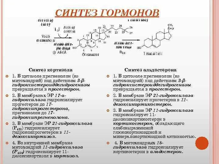 Слабость гормоны