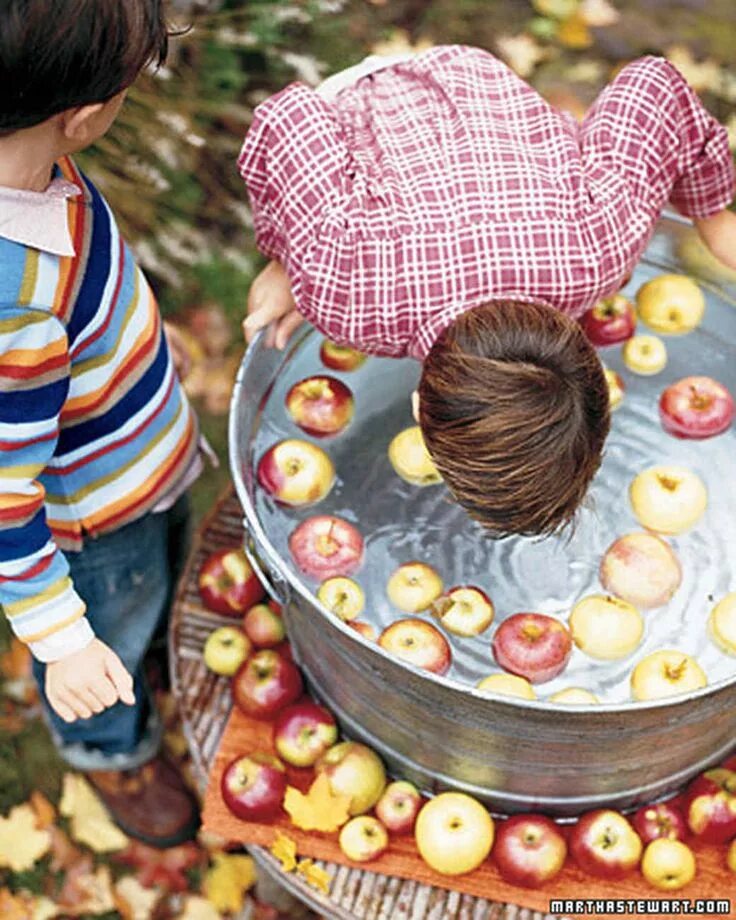Model bobbing only 1.16 5. Bobbing for apples игра. bobbing for apples на хэллоуин. таз с яблоками. праздник плавающих яблок.