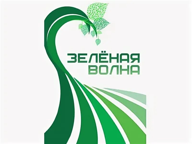 Зеленая волна личный