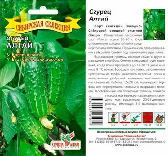 Огурец семена лучшие сорта для открытого
