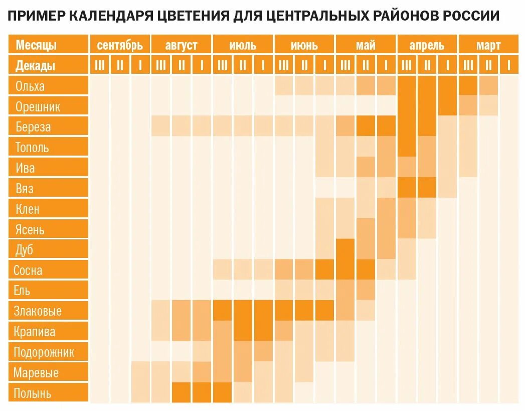 Пыльца березы санкт петербург. Период цветения березы в Москве 2021 для аллергиков. Календарь цветения. Календарь цветения растений. Календарь цветения для аллергиков.